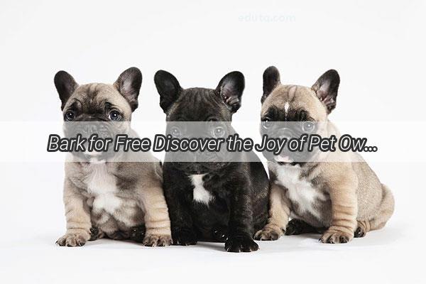 Bark for Free Discover the Joy of Pet Ownership in Yu Yao with This Exclusive Offer